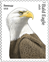 USPS - Bald Eagle Forever Stamp, 2026